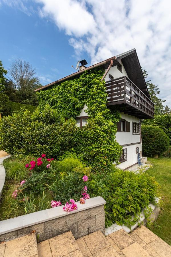 Private Summer House With Swimming Pool, Beach Bar And Pit For Football And Volleyball Hvezdonice Eksteriør bilde